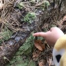 과학이 놀이랑 만날 때 | 울산숲놀이 쑥쑥반 121번째 만남 - 25. 11. 30.