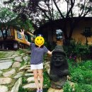 주주산방민박 네이버블로그