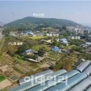 백제얼음 이데일리