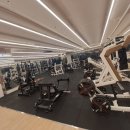 리스펙짐 이미지