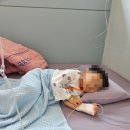 5세 마이코플라스마 폐렴 검단위키즈병원 입원후기