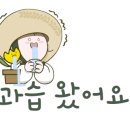 콘치 이미지