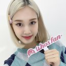 재이클린 이미지