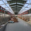 광선축산 이미지