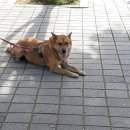 인천향교회관 이미지