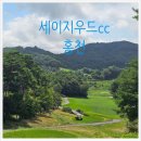 광석로 | [세이지우드cc홍천] 8월 여름날 해발750m 시원한 라운딩 후기 feat.여름에 양잔디 라운딩
