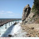 호미반도해안둘레길 이미지