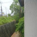 신산천
