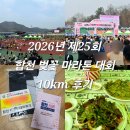 10 | 2026년 제25회 합천 벚꽃 마라톤 대회 10km 후기