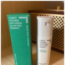 두피 안티에이징, 시작해 볼까 | 이니스프리 포레스트 포맨 올인원 에센스 후기 (feat. 안티에이징 3주 솔직 후기)