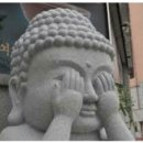 스타트레블 이미지