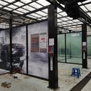 대영셀프세차장 이미지