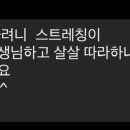 개포요가정