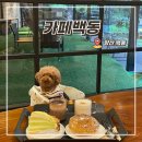 양산 애견동반 카페 백동 산 속분위기 좋은 대형카페