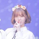 꽃뜨루 네이버블로그