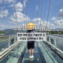 소양강식당 | 춘천 여행 필수 코스 가볼만한 곳 소양강 스카이워크 내돈내산 후기