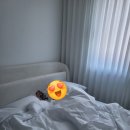 감포 더 고아라 비치 펜션 | 감포더고아라비치펜션 후기(경주)