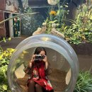 마루과자점 | #14 [나고야 여행]_지브리 파크 대창고 포토존 모음, 마루 밑 아리에티 방