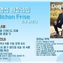 대구 애니멀 옥션 이미지