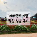 세컨더블비 | 에버랜드 4월 튤립 축제 | 평일 후기 대기시간 및 할인 방법, 에버랜드 맛집 쭈쭈불닭발