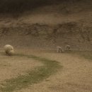 마장 색소폰 이미지