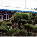 우림장민박 이미지