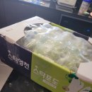 삼구마트 | 당도높은포도:)당도높은 맛있는 망고맛포도 특품 가저용 샤인머스켓 "허니삼구" 후기