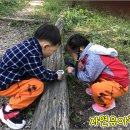 자연유아학교 이미지