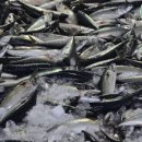 푸른농수산 이미지