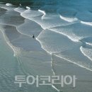 청산도느림보마을 이미지