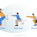 베어리핏 이미지