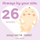 하루애김밥 | 임신 26주 기록 | 일 업슴다