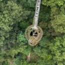 표준반상 이미지