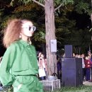 인트로(Intro) 이미지