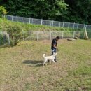 박순호의 아이슬란드 이미지