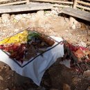 원일유치원 이미지