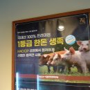 귀한족발 당곡점