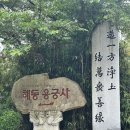해동택시(주) 네이버블로그