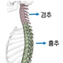 휘연필라테스 네이버블로그