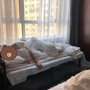 세종항공여행사 이미지