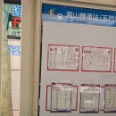 돌고래 | 대만 우스항 돌고래투어 후기