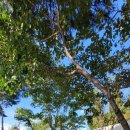 배산체육공원 인라인장 이미지