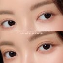 데이린 이미지