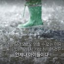 초록e