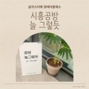 글라스박스 능곡점 | [시흥 공방] 원데이클래스 추천, 글라스아트로 도어벨 만들기 하고 왔어요!