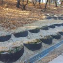 신암공원 로컬세계