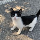 카페애룡호수 이미지