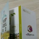 도프디자인