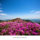산상목장 이미지