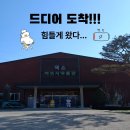 화석 2002 | 설 연휴 덕자박 방문후기